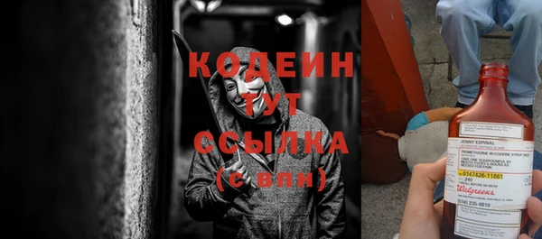 индика Каменск-Шахтинский