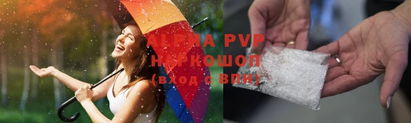индика Каменск-Шахтинский