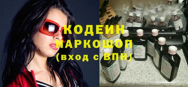 индика Каменск-Шахтинский