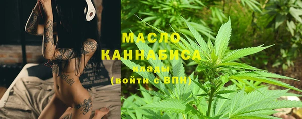 индика Каменск-Шахтинский