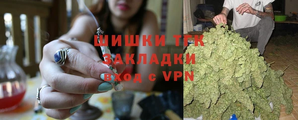 индика Каменск-Шахтинский