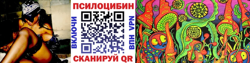 Псилоцибиновые грибы Psilocybine cubensis  Ковров 