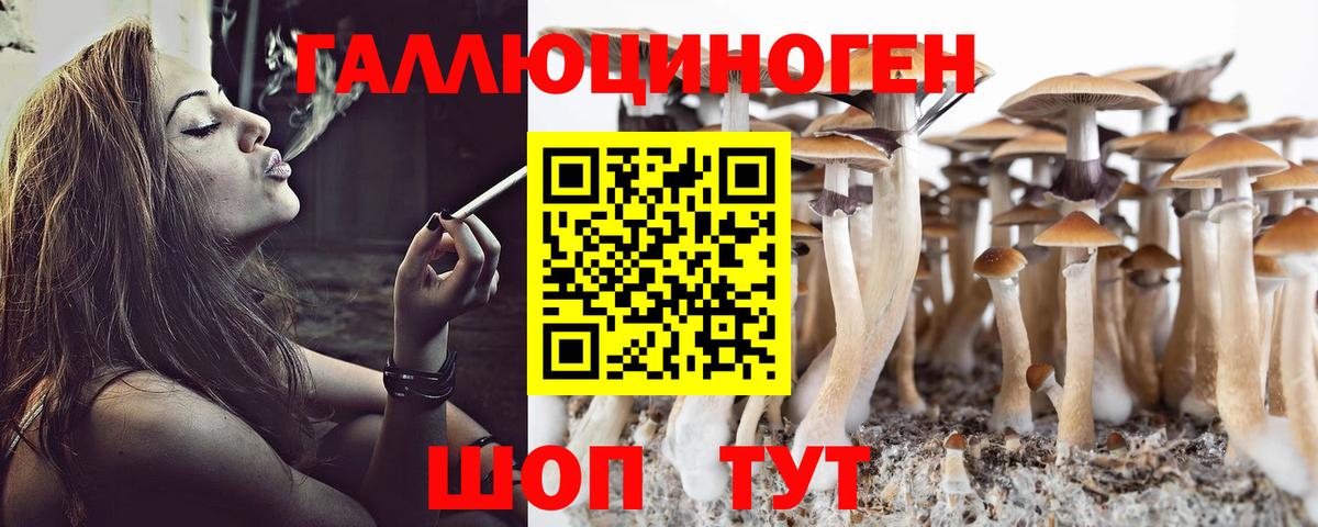 Галлюциногенные грибы мухоморы  Вход с VPN  Ковров  наркошоп  Галлюциногенные грибы мицелий 